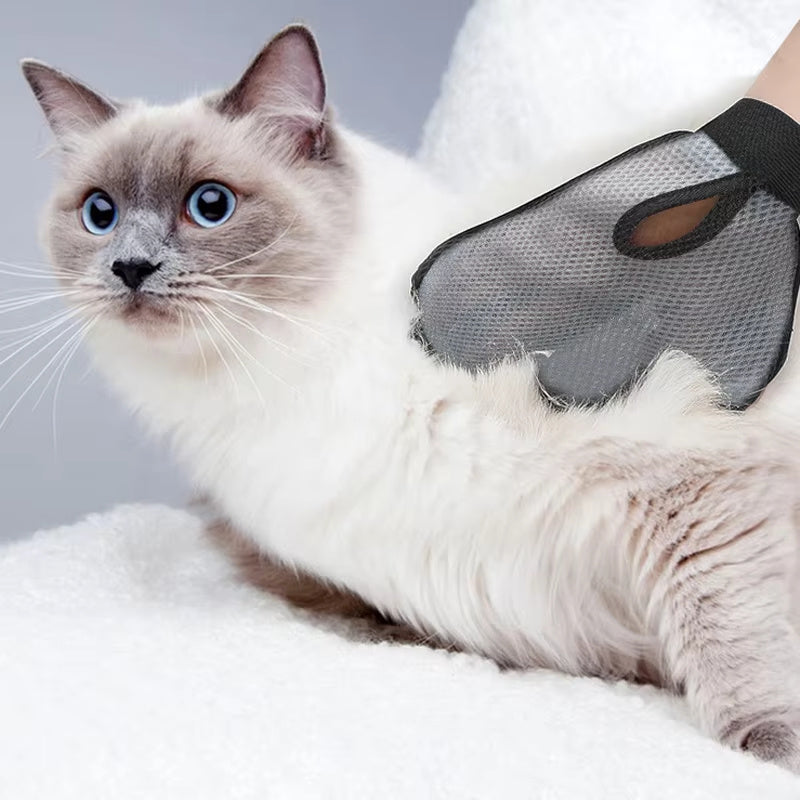 Petivia™ Pet Hair Removal Glove – For Furniture, Clothes & More